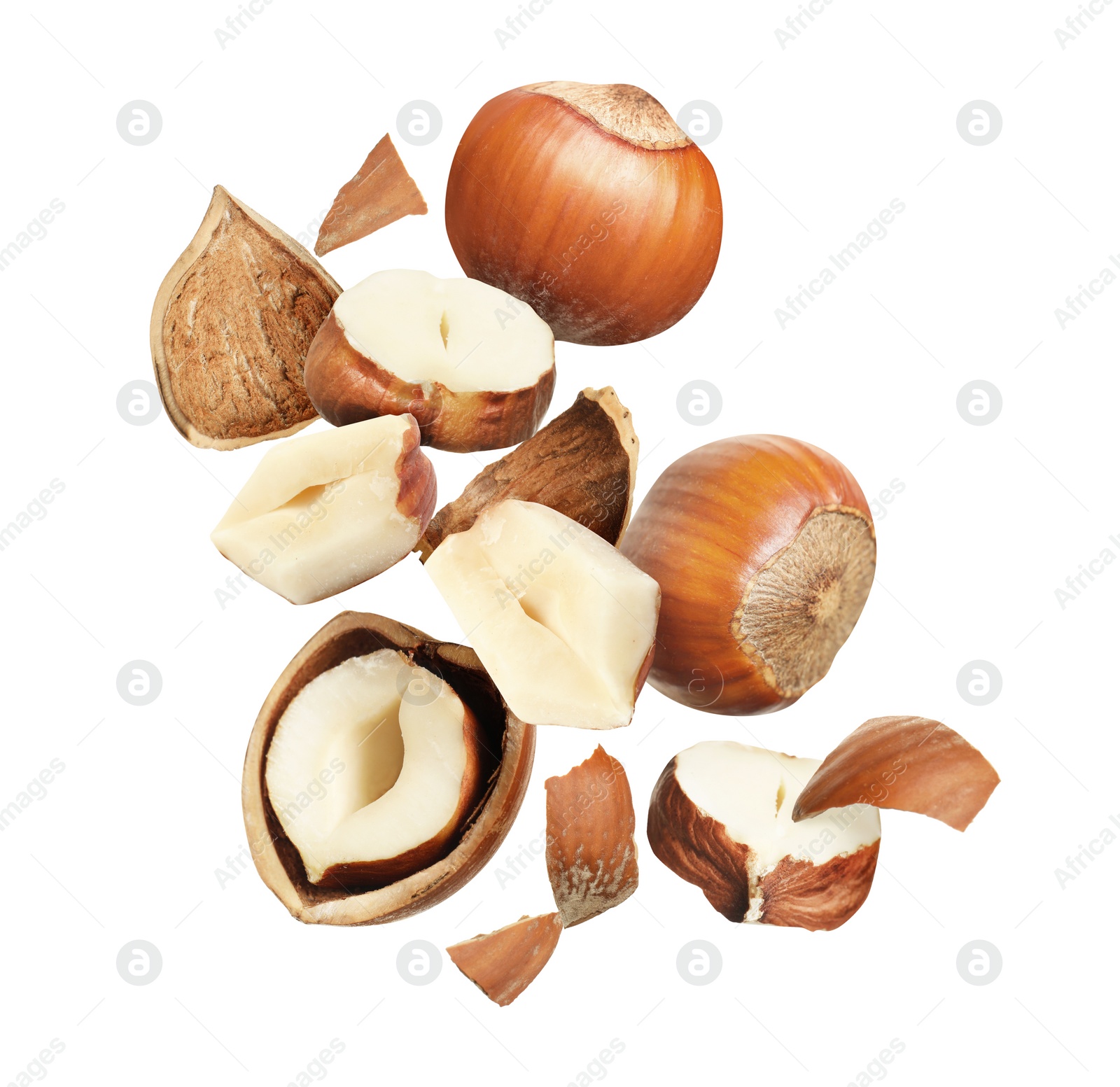 Pieces of tasty hazelnuts falling on white background Image of Pieces of tasty hazelnuts falling on white background