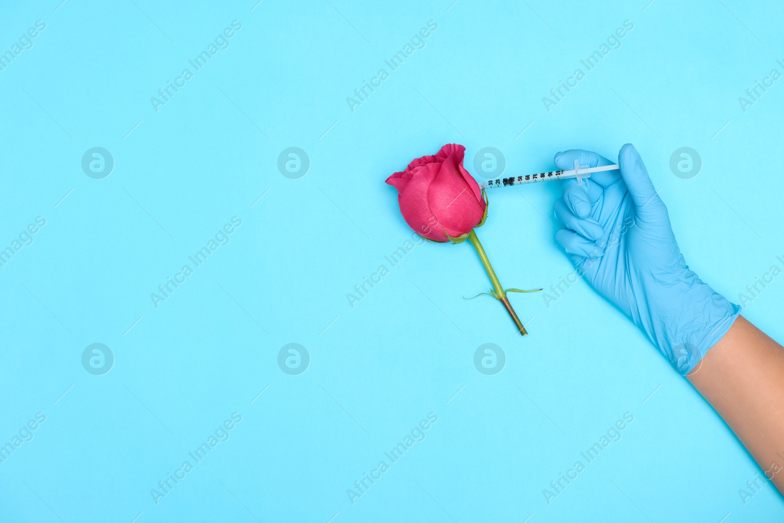 Photo of Doctor making injection to rose on light blue background, top view. Space for text