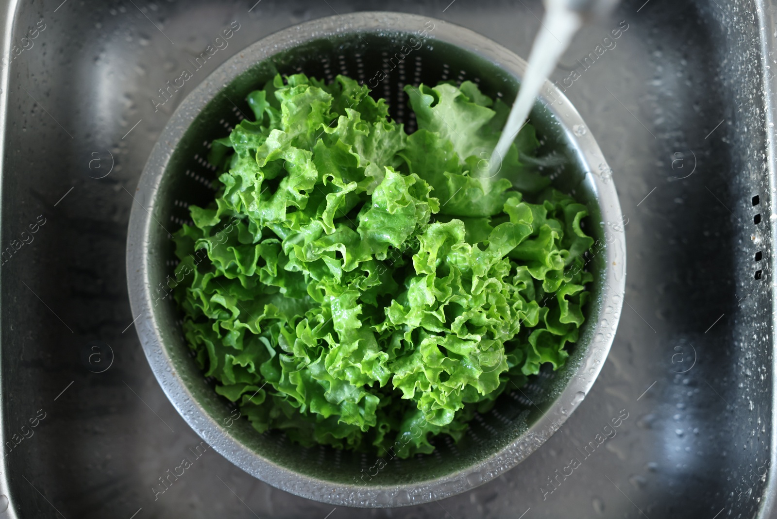 Photo of Pouring tap water into colander with lettuce in sink, top view