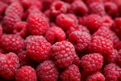 Photo of Many fresh ripe raspberries as background, closeup