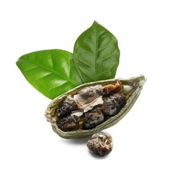 Image of Dry cardamom pod and green leaves on white background