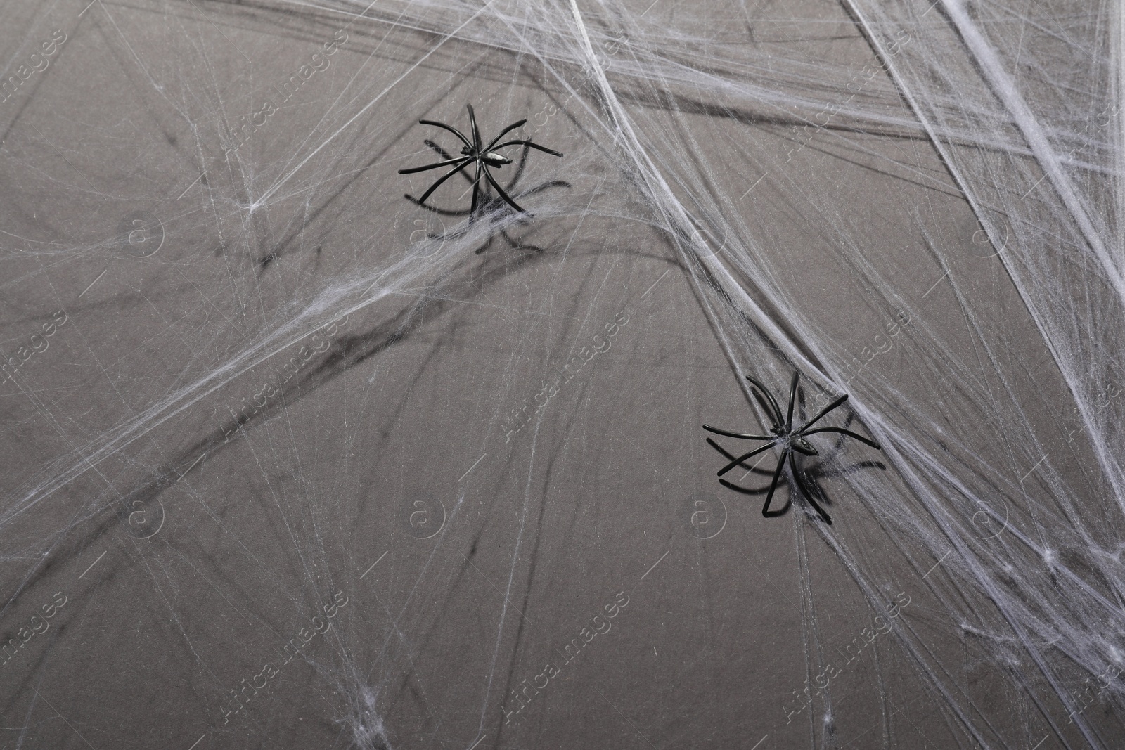 Photo of Cobweb and spiders on gray background, top view