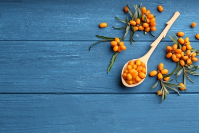 Photo of Ripe sea buckthorn berries on blue wooden table, flat lay. Space for text