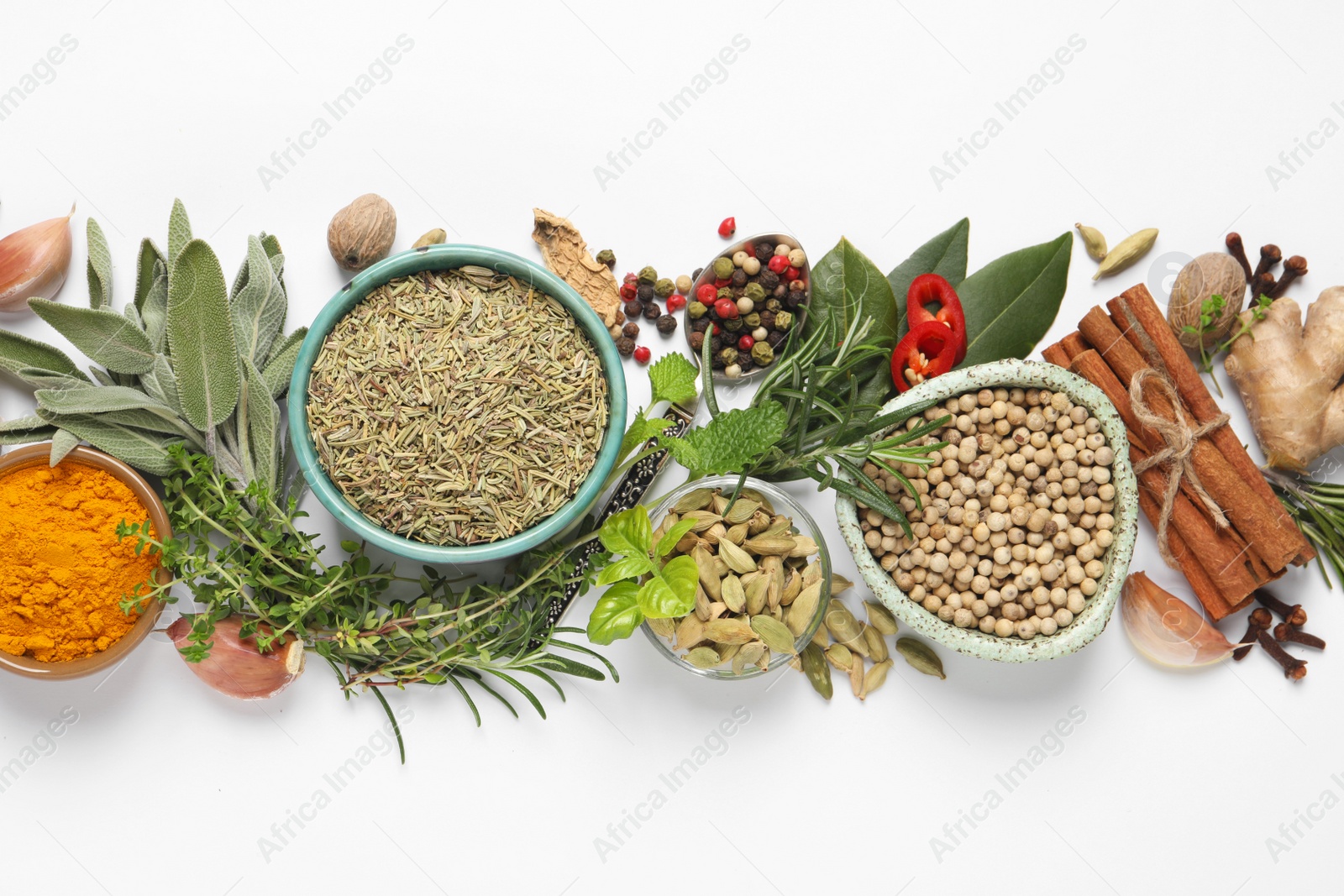 Photo of Different fresh herbs and spices on white background, top view