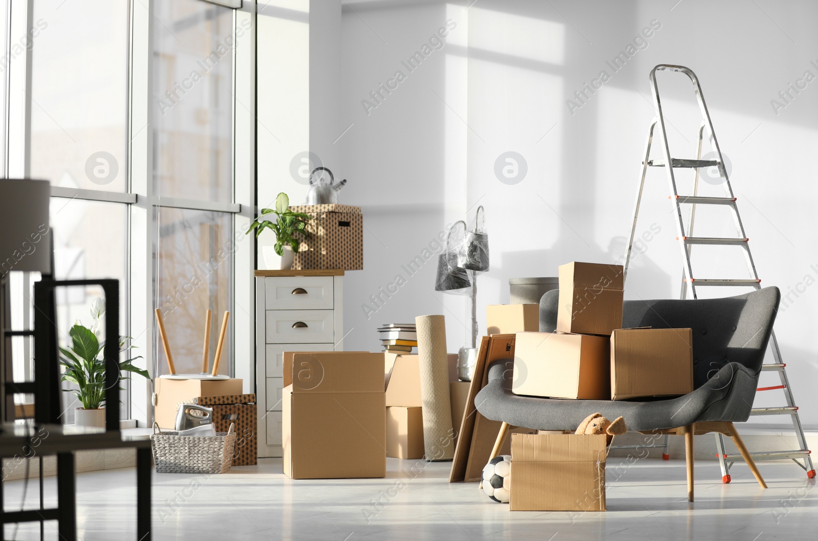 Photo of Cardboard boxes and household stuff in living room. Moving day