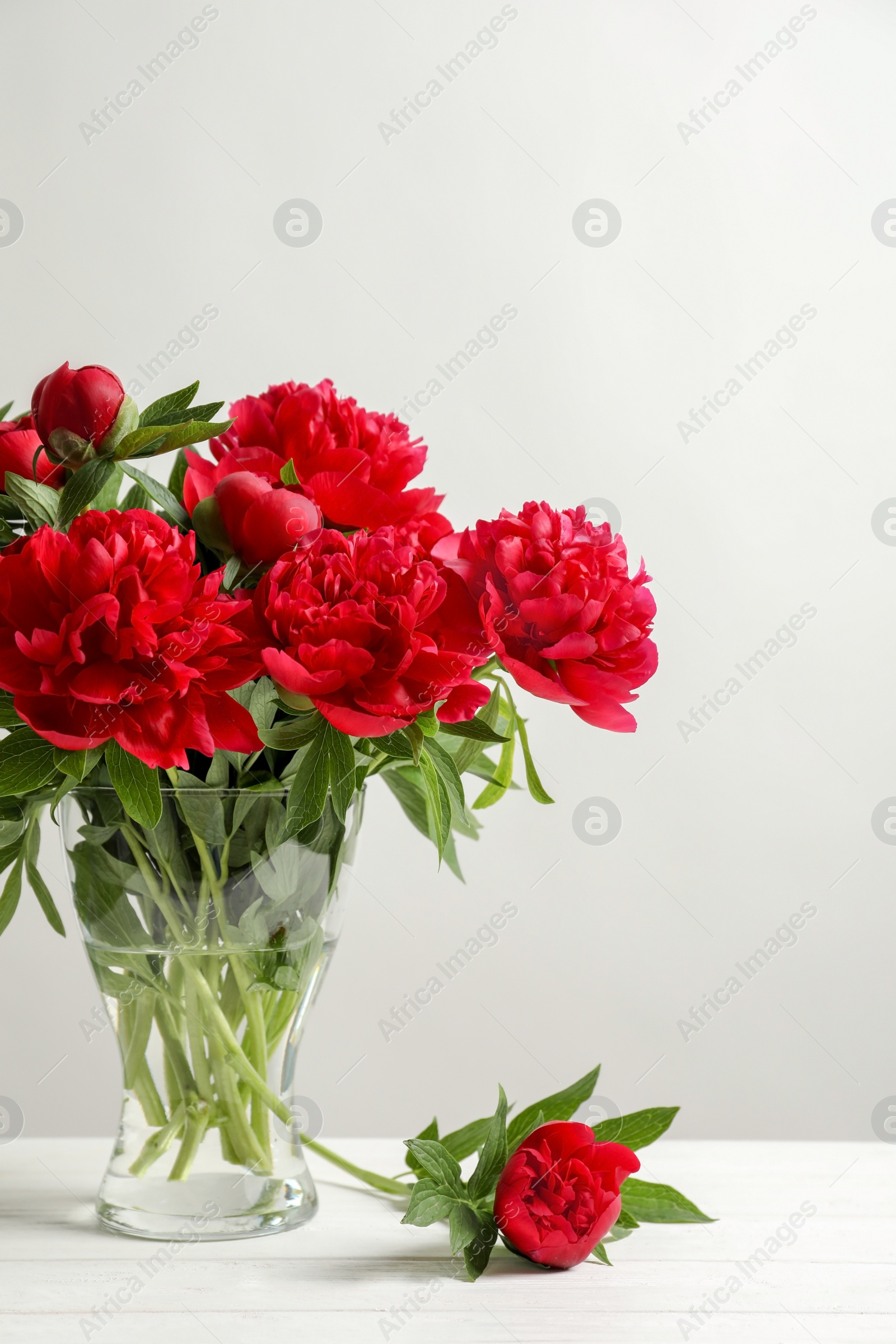 Photo of Vase with beautiful blooming peonies on table against light background