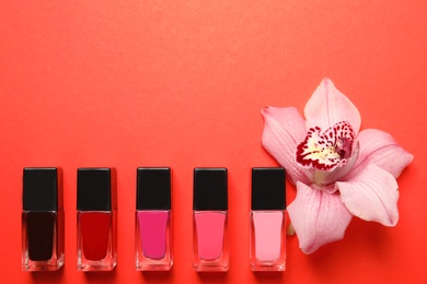 Photo of Bottles of nail polish and flower on color background, top view with space for text
