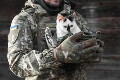 Photo of Ukrainian soldier rescuing animal. Little stray cat sitting in helmet, closeup