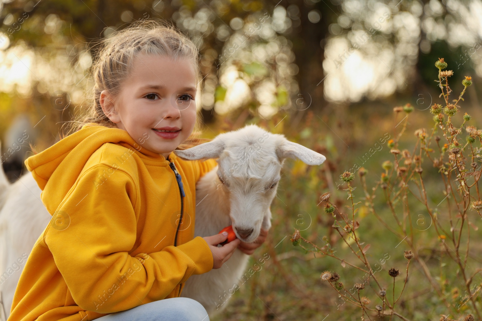 Photo of Farm animal. Cute little girl feeding goatling on pasture