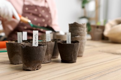 Photo of Growing vegetable seeds. Woman adding soil into containers at wooden table indoors, focus on peat pots. Space for text