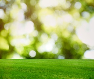 Image of Beautiful lawn with green grass on sunny day. Bokeh effect