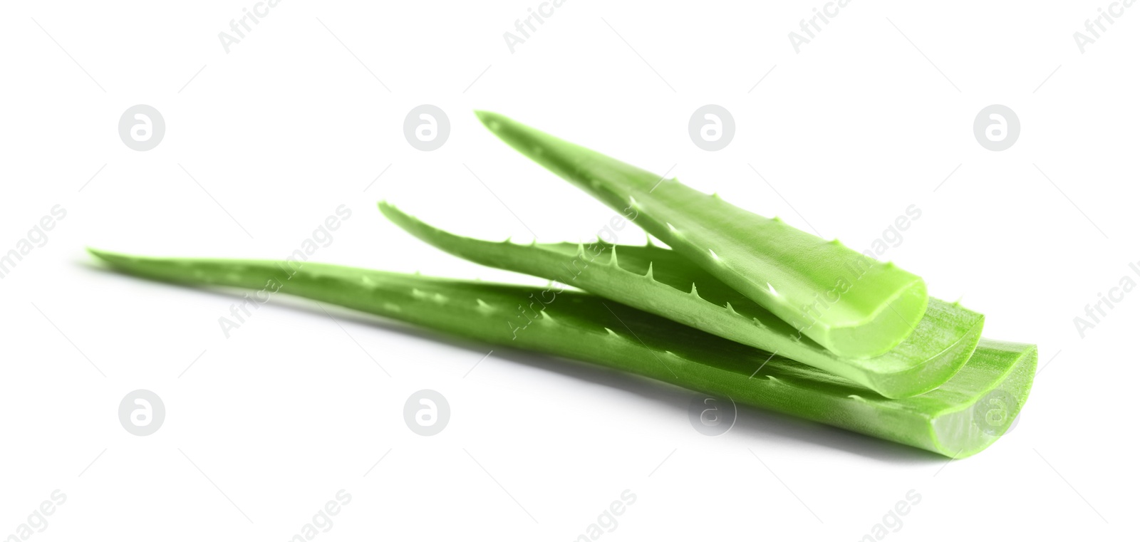 Photo of Fresh aloe vera leaves on white background