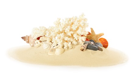 Photo of Beautiful exotic sea coral, shells and sand on white background