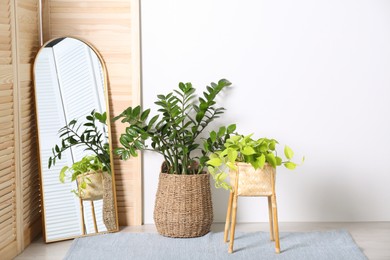 Photo of Stylish room interior with beautiful potted plants and mirror