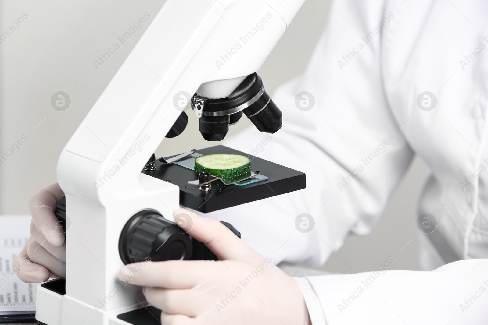 Photo of Scientist inspecting slice of cucumber with microscope in laboratory, closeup. Poison detection