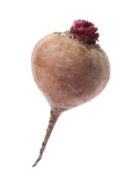 Photo of Whole fresh red beet on white background