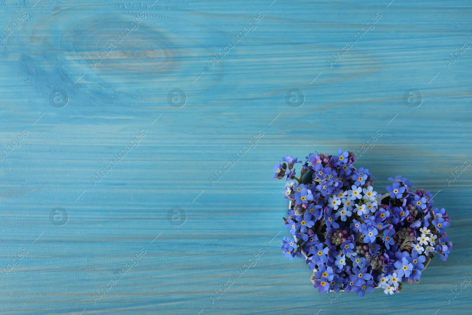 Photo of Heart of beautiful forget-me-not flowers on light blue wooden table, top view. Space for text