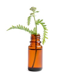 Photo of Bottle of essential oil and yarrow leaves on white background