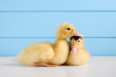 Photo of Baby animals. Cute fluffy ducklings on white wooden table near light blue wall