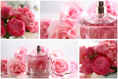 Creative collage with photos of luxury perfume and beautiful flowers on color backgrounds 