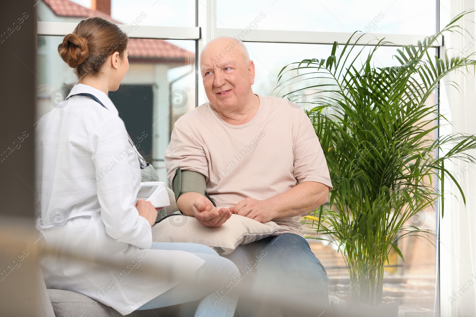 Photo of Nurse measuring blood pressure of elderly man in living room. Assisting senior generation