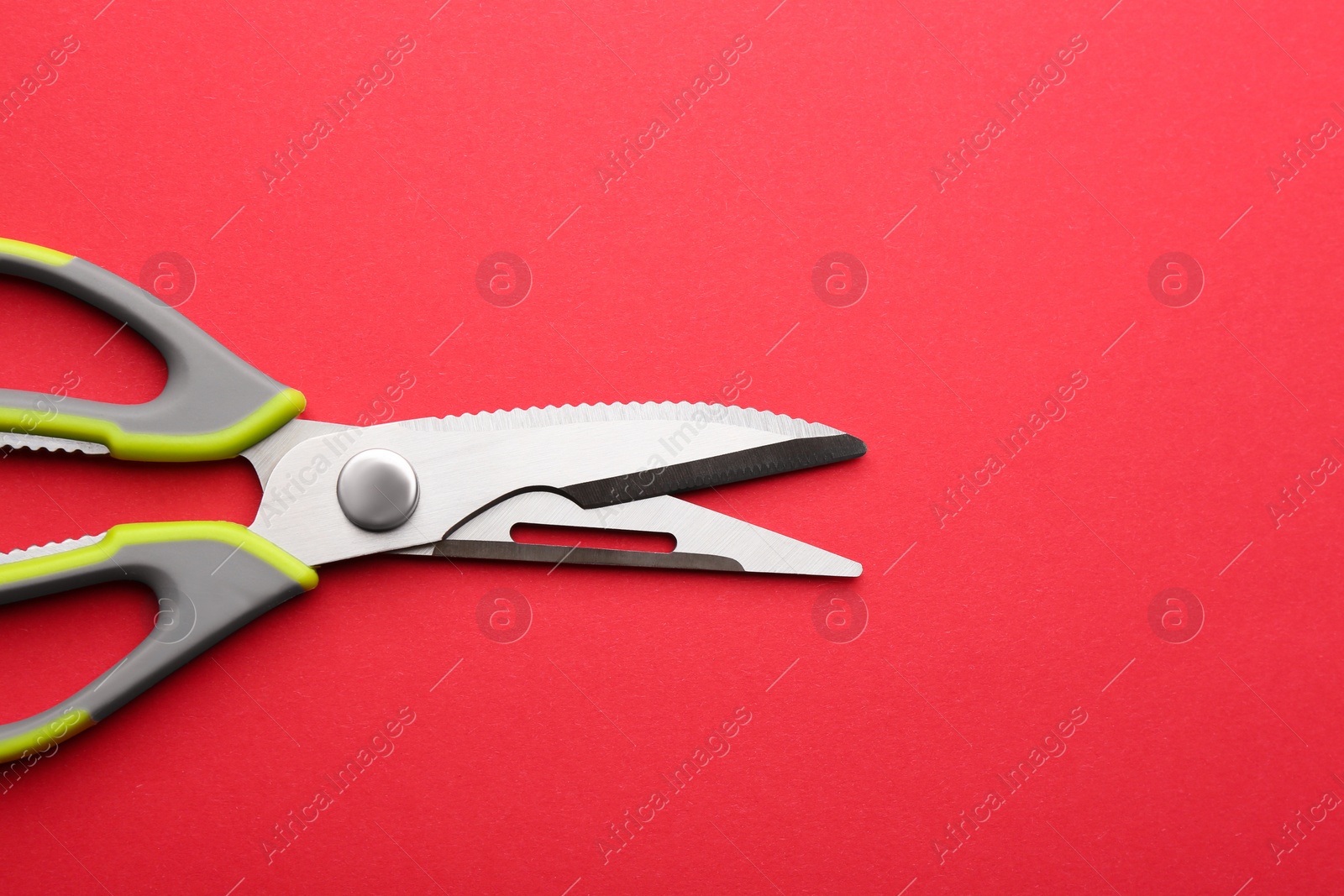 Photo of Kitchen scissors on color background, top view. Space for text