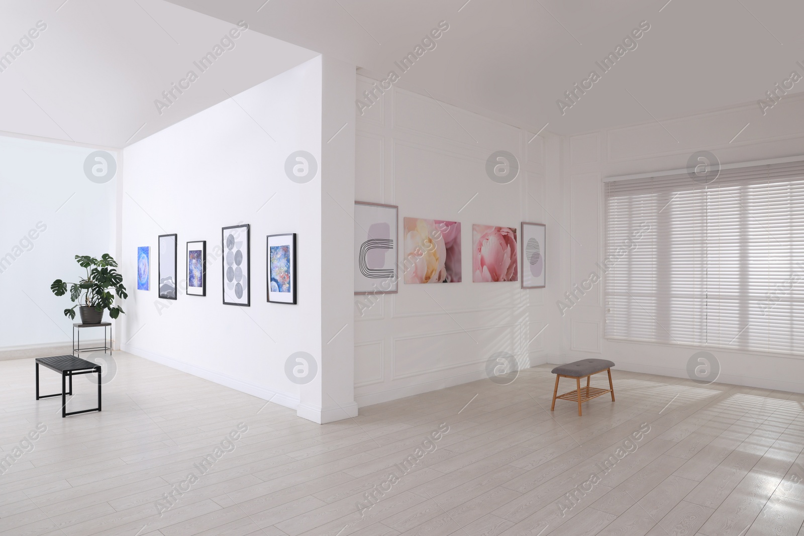 Photo of Empty hall of modern art gallery with exhibits