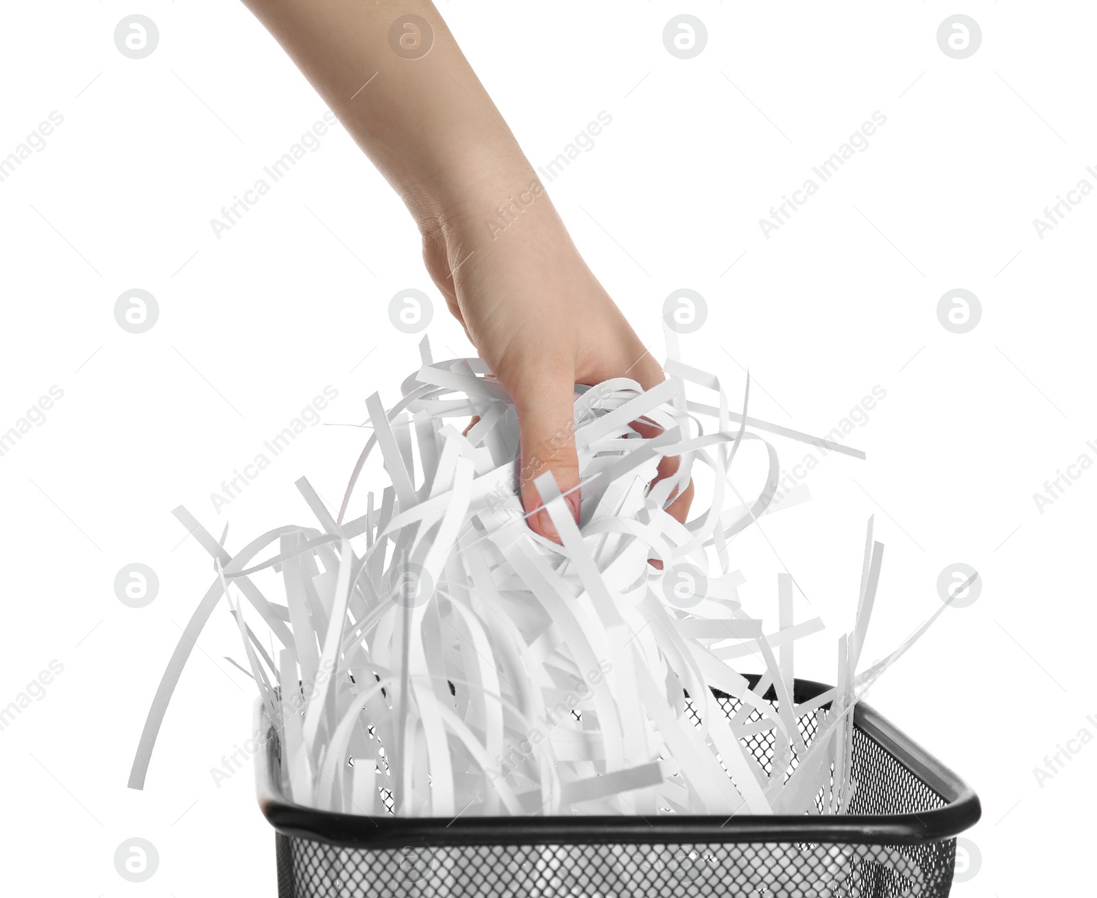 Photo of Woman taking shredded paper strips into trash bin on white background, closeup