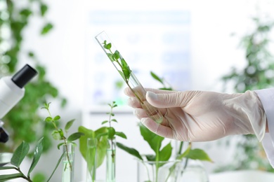 Lab assistant holding test tube with plant on blurred background, closeup. Biological chemistry