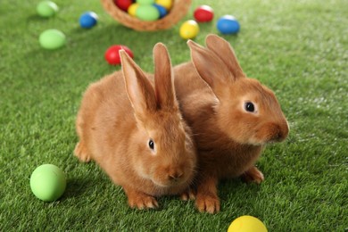 Cute bunnies and Easter eggs on green grass