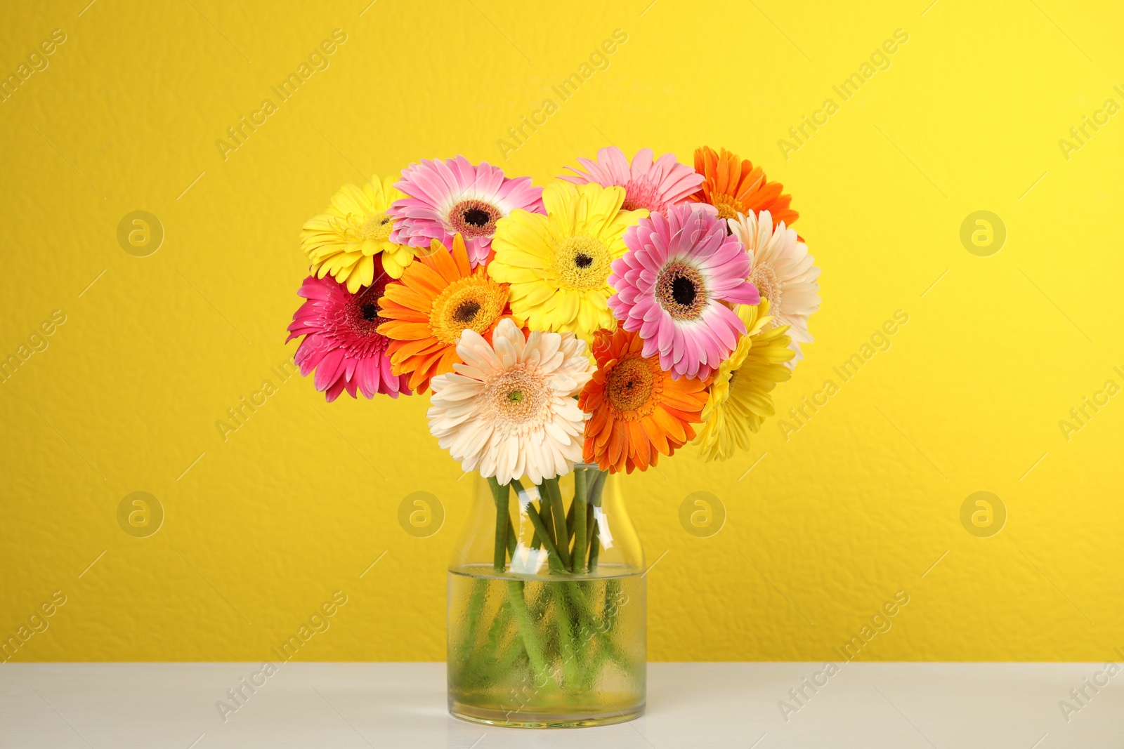 Photo of Bouquet of beautiful bright gerbera flowers in vase on table against color background