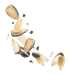 Image of Sunflower seeds with hull flying on white background 