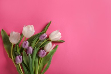 Photo of Many beautiful tulips on pink background, flat lay. Space for text