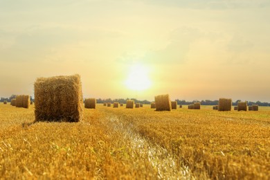 Photo of Beautiful view of agricultural field with hay bales