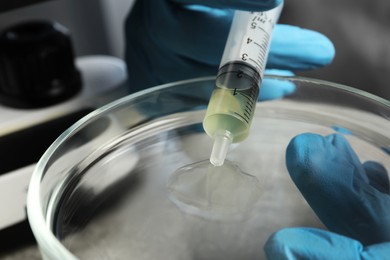 Photo of Doctor dripping urine from syringe into petri dish, closeup