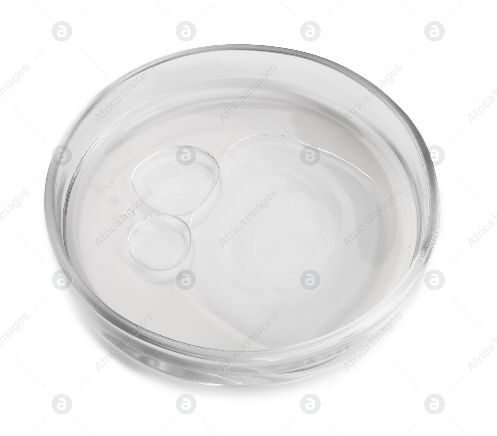Photo of Petri dish with liquid sample isolated on white