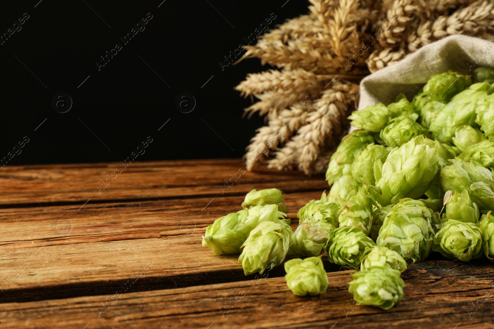 Photo of Overturned sack of hop flowers and wheat ears on wooden table against black background, space for text