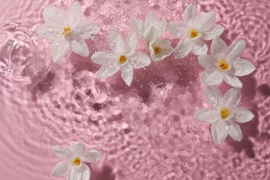 Beautiful daffodils in water on pink background, top view