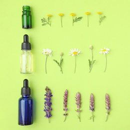 Bottles of different essential oils and wildflowers on color background, flat lay. Space for text