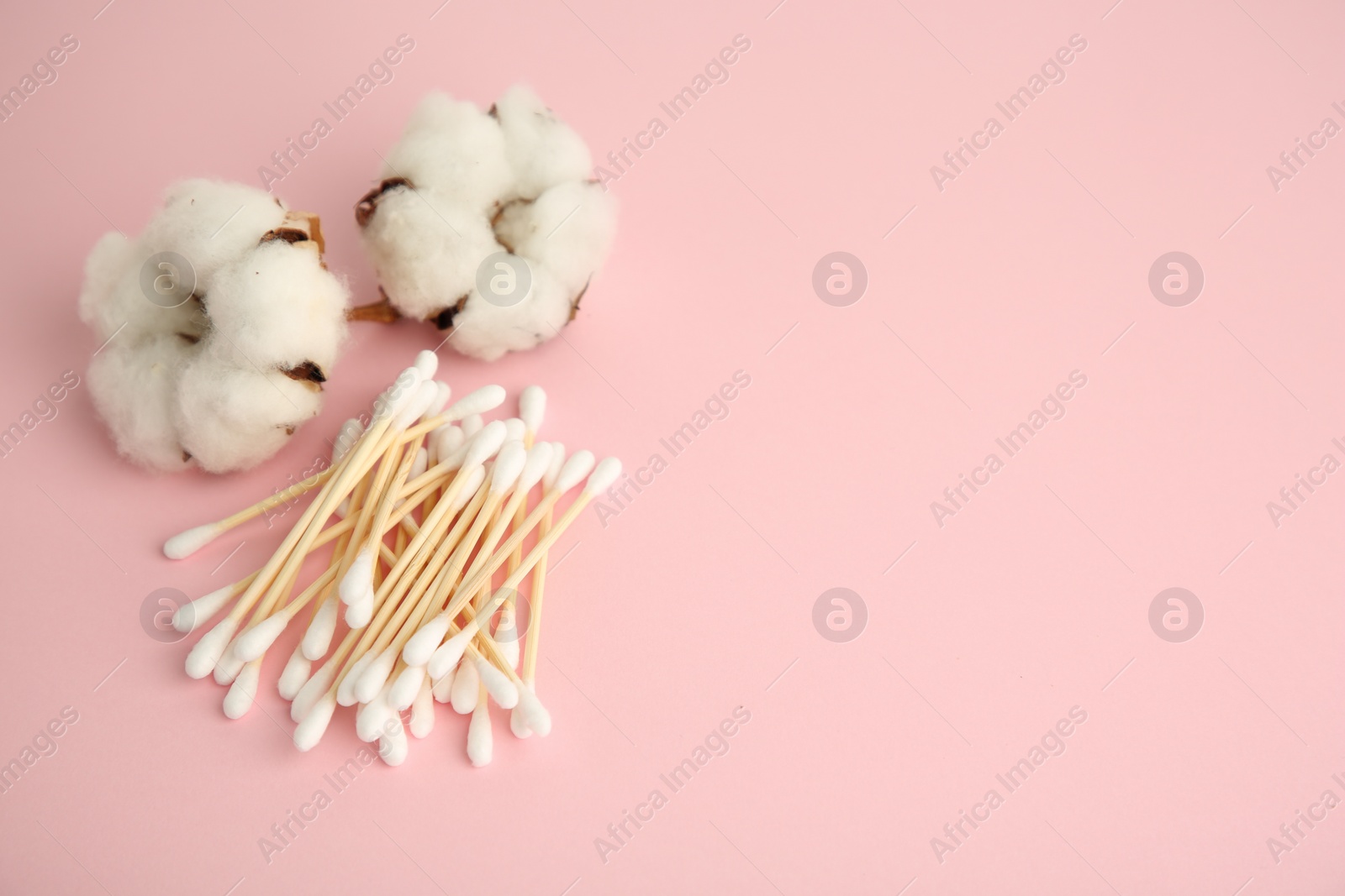 Photo of Many cotton buds and flowers on pink background. Space for text