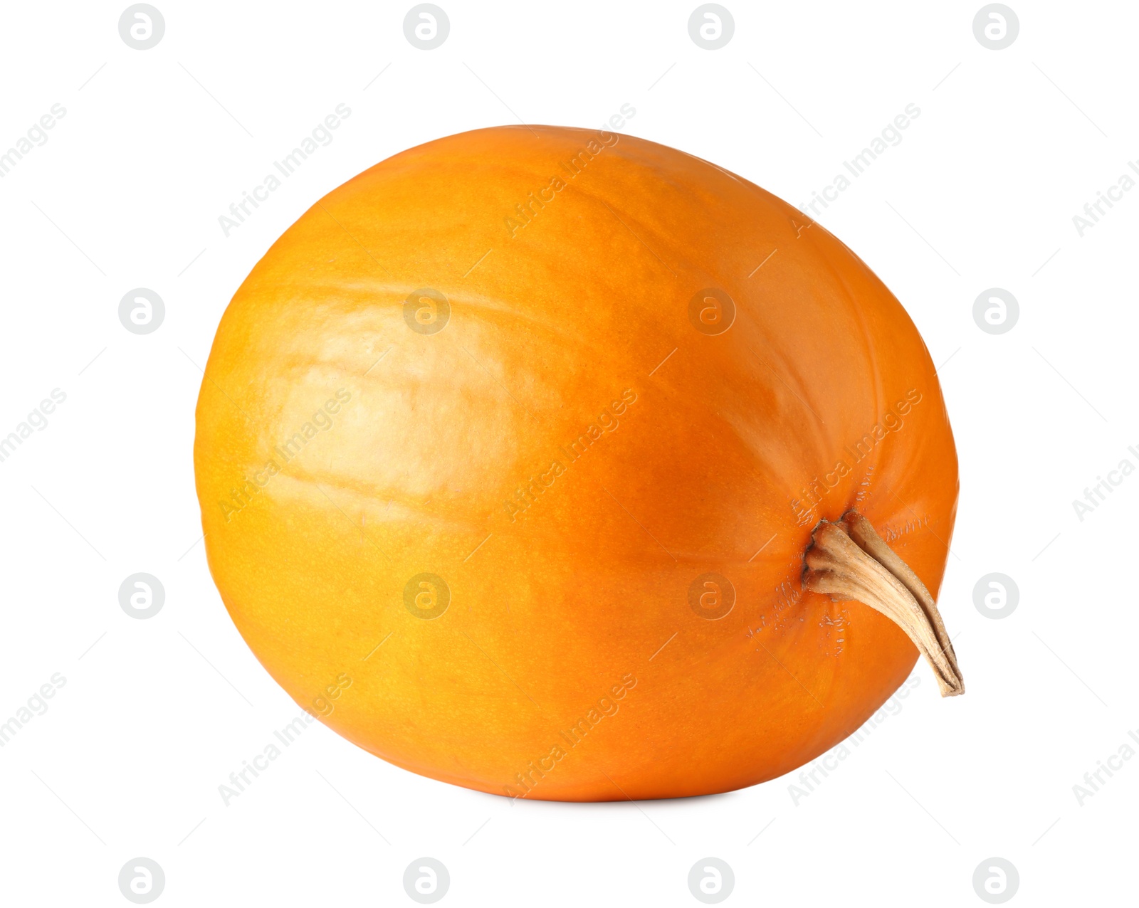 Photo of One fresh orange pumpkin isolated on white