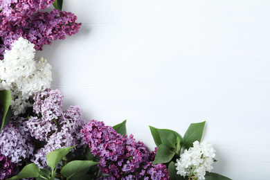 Different blossoming lilac branches on white wooden background, flat lay. Space for text