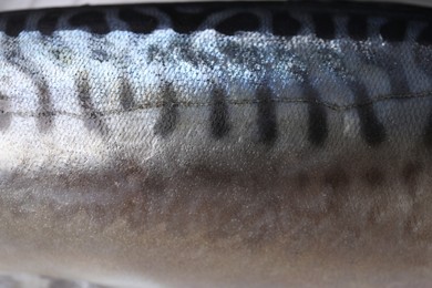 Beautiful fresh tasty raw mackerel as background, closeup