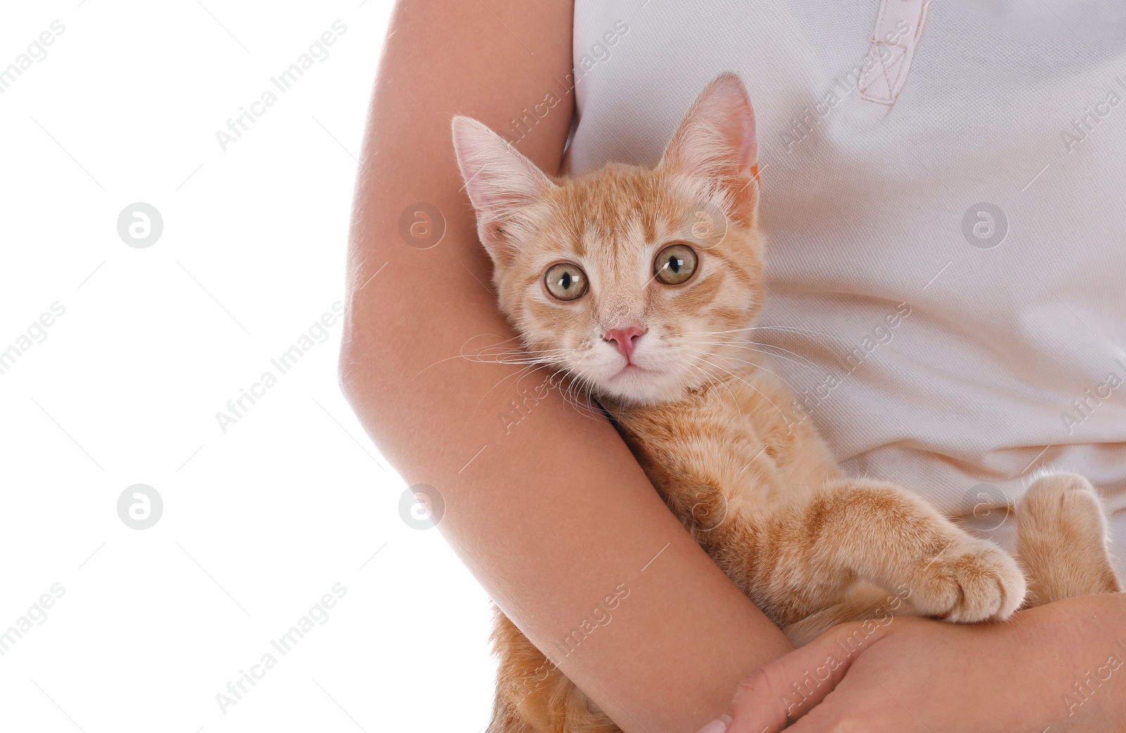 Photo of Woman with adorable cat on white background