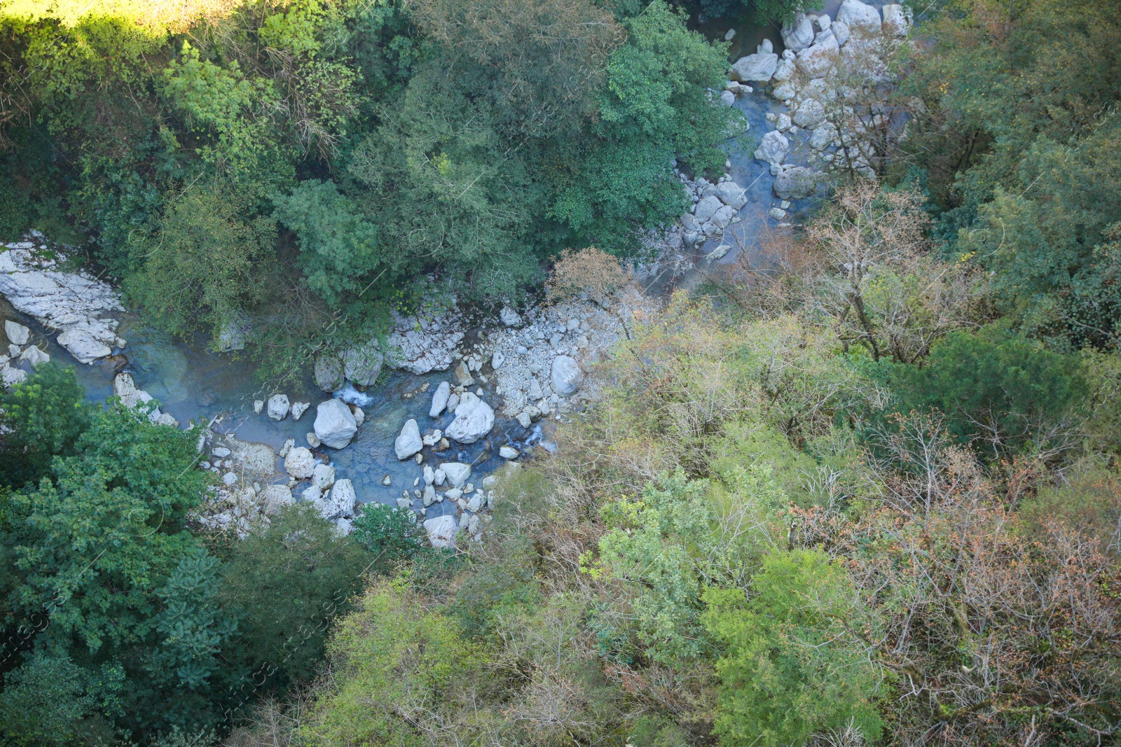 Photo of Beautiful landscape of green forest with mountain river, above view