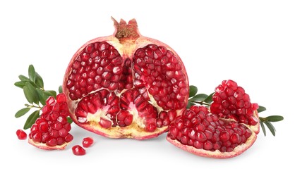 Fresh cut pomegranate and branches isolated on white