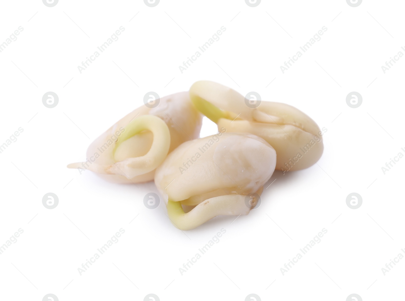 Photo of Three sprouted kidney beans isolated on white