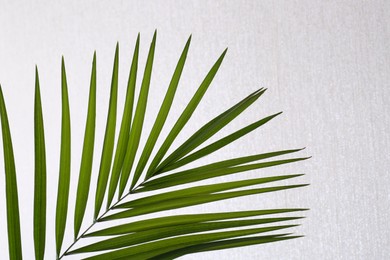 Photo of Green beautiful tropical leaf near white wall, closeup