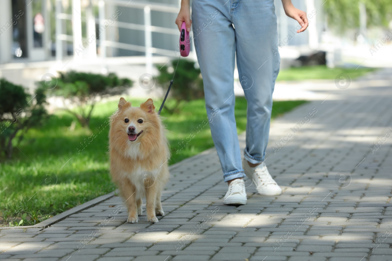 Photo of Woman with her cute dog walking on city street. closeup