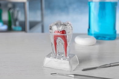 Tooth model and dentist tools on table. Space for text